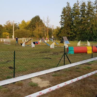 CONCOURS AGILITY 2020